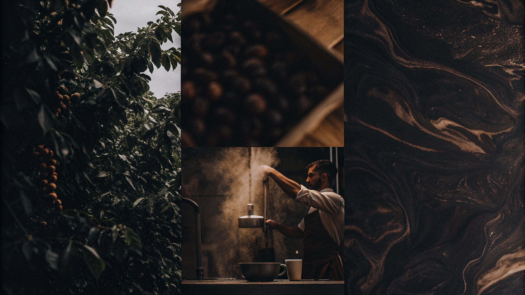 From Farm to Cup: The Journey of Your Coffee