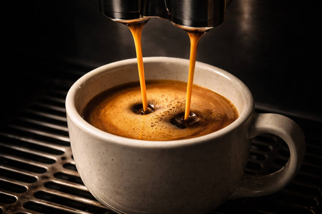 The Barista — medium dark roast Feather In Cap blend espresso pull by Coffee for Humans